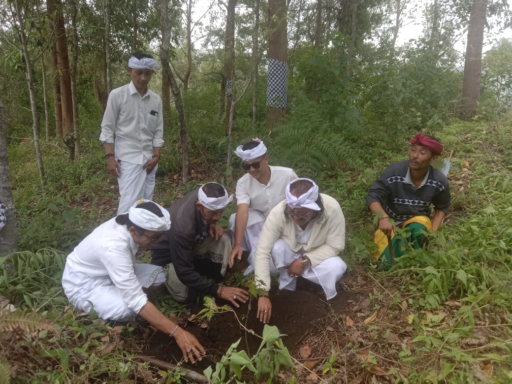 Jero Gede Batur Duhuran bersama prajuru dan perwakilan masyarakat adat Batur menanam tanaman upakara di Alas Kekeran Bukit Sampian Wani, Desa Adat Batur.