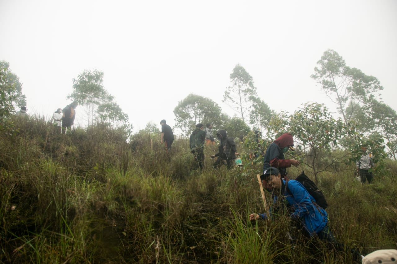 Kegiatan menanam pohon FA GC Gitakita.
