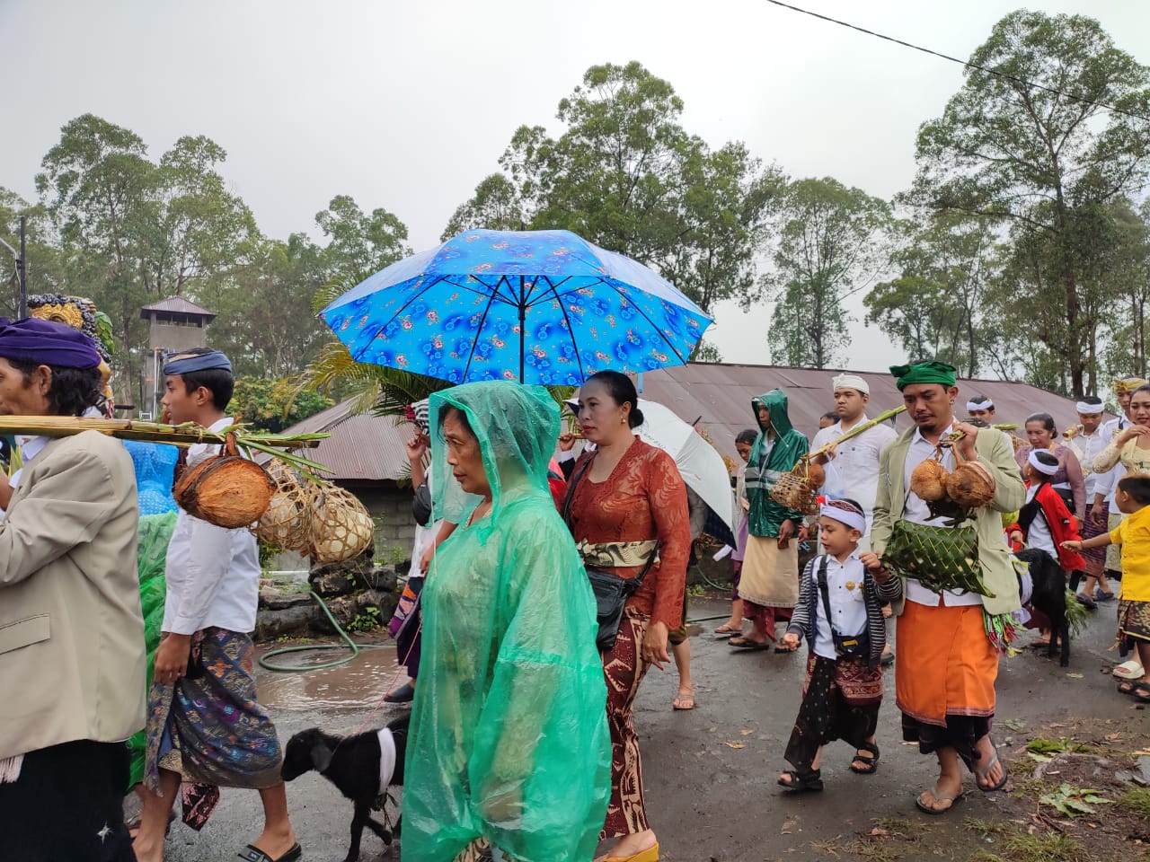 Krama Desa Adat Batur menyunggi atos pada ritual Pepada Atos serangkaian pujawali di Pura Jati Batur.